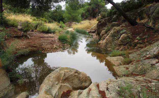 Mucho más que la casa del gallipato