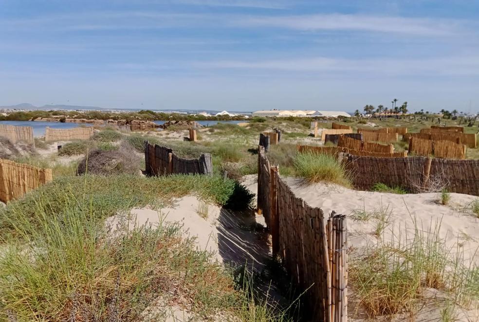La arena vuelve a buscar el cielo en La Llana