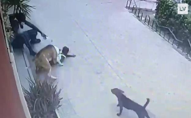 «Si la engancha de otro sitio, hubiera sido una tragedia»