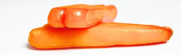 Salazones Diego y el chef David de Jorge transmiten su pasión por la hueva de Mújol