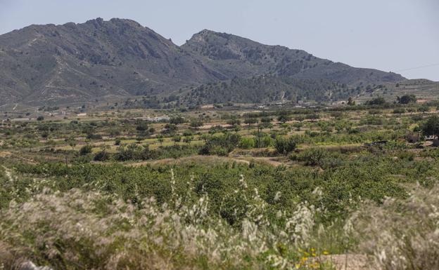 Aplazan la moratoria a los huertos solares para poder reubicar el previsto en Canteras
