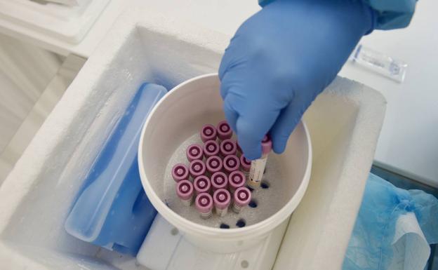 Ascienden a 88 los casos de Covid-19 asociados al brote de Mallorca en la Región