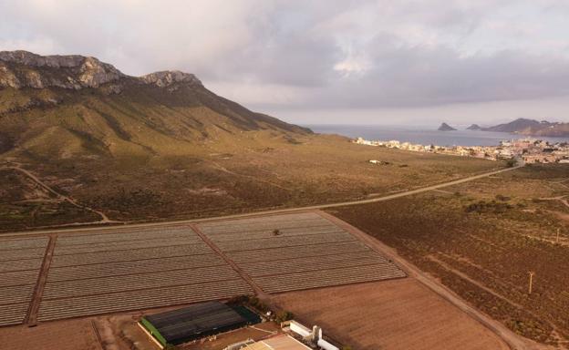 Medio Ambiente rechaza la instalación de un huerto solar junto a Cabo Cope