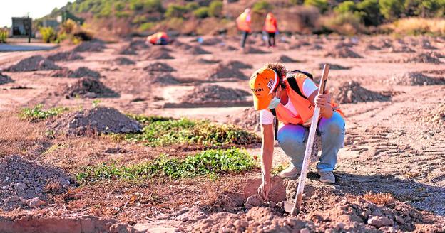 Construyendo un futuro sostenible