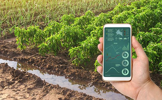 Cómo la innovación es la respuesta al futuro del sector agrícola