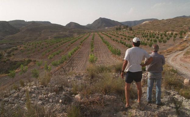 La Justicia rechaza el regadío en la polémica finca El Chopillo por su condición forestal