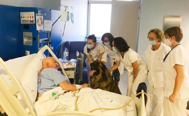 Los ingresados con patologías severas y terminales en Cartagena podrán recibir a su mascota