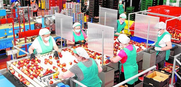 El sector alimentario copa ya el 43% de la inversión industrial en la Región