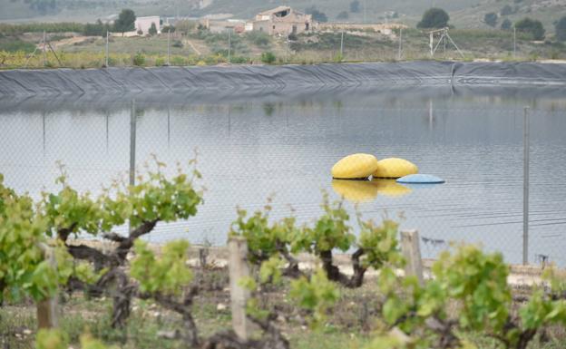 La Fiscalía de Medio Ambiente investiga el ahogamiento de aves en balsas de regadío y contra incendios