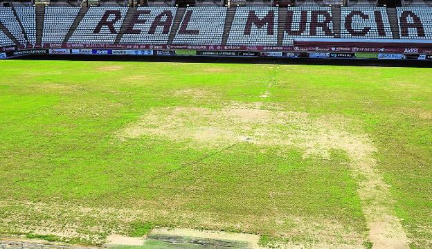 Acaba la resiembra en el Enrique Roca, que estará listo para el inicio de la liga