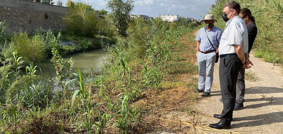 Recuperan el bosque de ribera en el río Segura a su paso por la pedanía murciana de El Raal - Vimarsana News