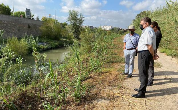 Recuperan el bosque de ribera en el río Segura a su paso por la pedanía murciana de El Raal