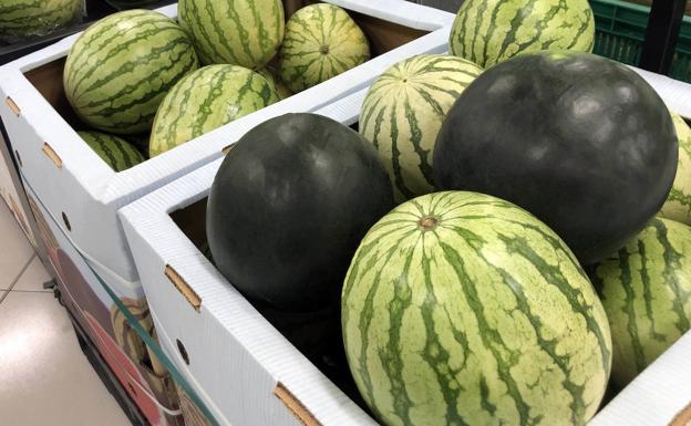 Mercadona prevé comprar más de 97.500 toneladas de sandía de origen español esta temporada
