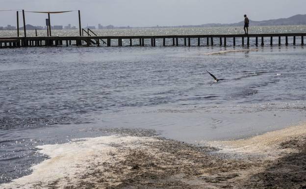 Sigue la confusión en el Mar Menor