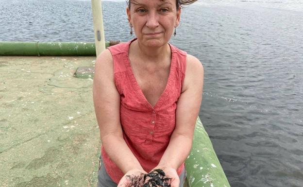 Los primeros análisis descartan un episodio de anoxia en el Mar Menor tras la aparición de peces muertos