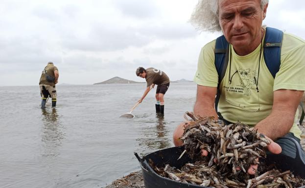 El Gobierno central baraja la declaración de zona catastrófica para el Mar Menor