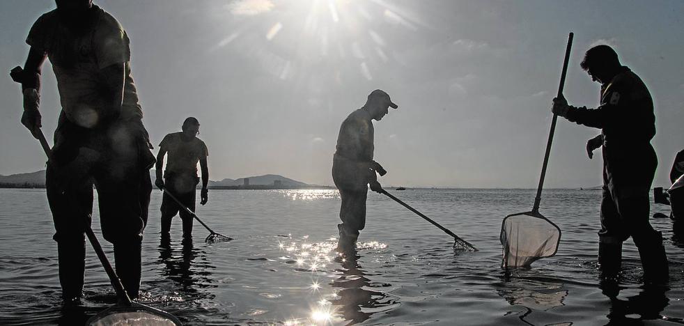Mar Menor | Ajedrez mortal en el Mar Menor - Vimarsana News