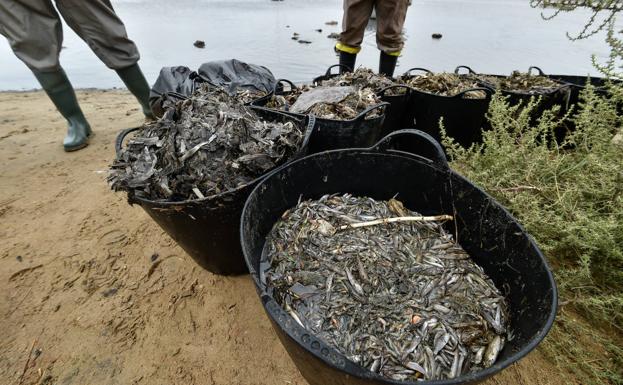 El Gobierno rechaza la zona catastrófica para el Mar Menor y arremete contra la Comunidad