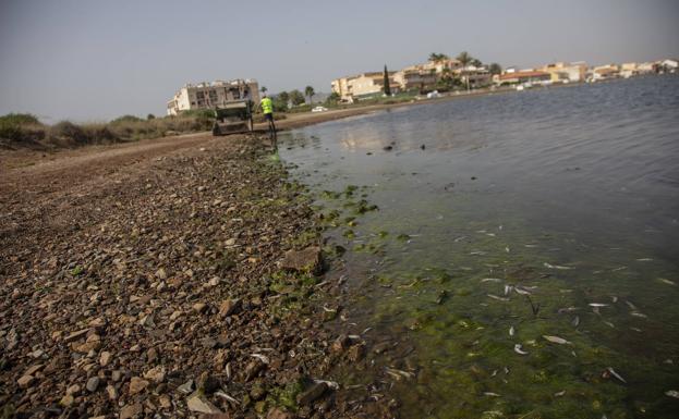 El Defensor del Pueblo se interesa por la grave situación ecológica del Mar Menor