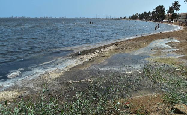 WWF y ANSE exigen eliminar 8.500 hectáreas de cultivos de regadío «ilegal» alrededor del Mar Menor
