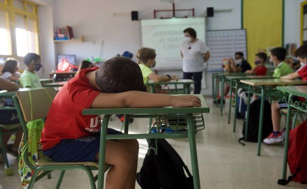 La Plataforma Estatal de Enfermera Escolar pide la implantación de esta figura en un curso marcado por la Covid
