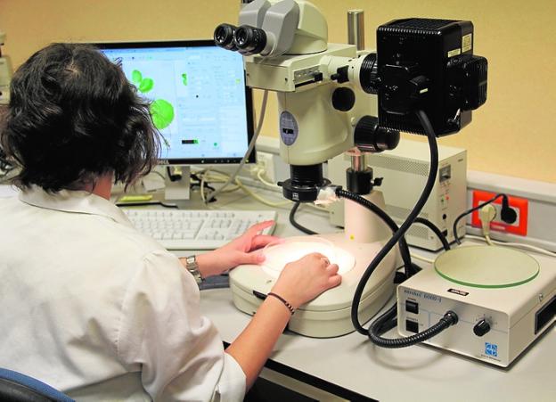 Inglés gratis para los profesionales del futuro