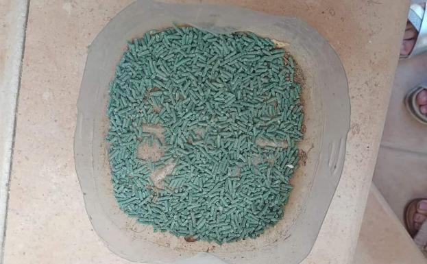 Investigan la muerte por envenenamiento de varios gatos en las últimas semanas en Pliego