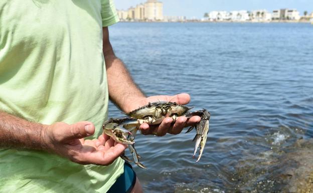 Las organizaciones ecologistas y vecinales demandan mayor implicación de la Unión Europea para recuperar el Mar Menor