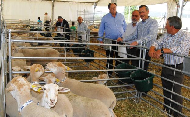 La Muralla de Archivel acogerá la Feria del Cordero Segureño