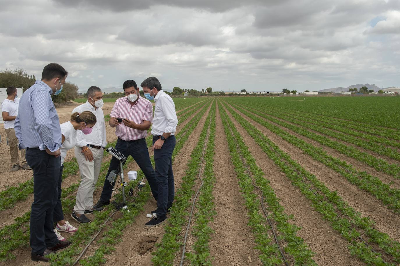 Más de 200 sondas controlan el riego para reducir el impacto en el Mar Menor