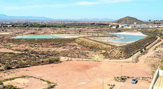 Los vecinos de Cartagena exigen cubrir las balsas de Zinsa ya ante el informe sobre la muerte de aves