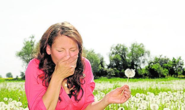 El secreto mejor guardado de las alergias: por qué se producen