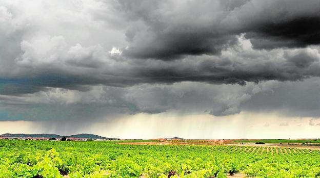 Agricultura y Transición Ecológica incrementan su capital climatológico