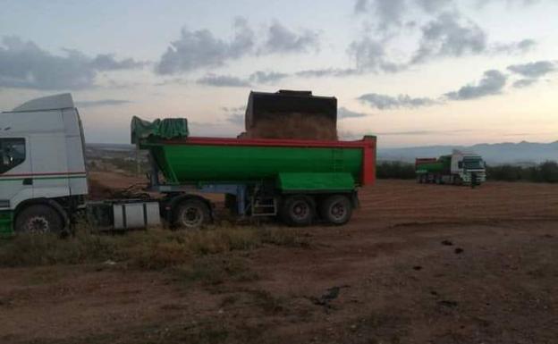 Paralizan las obras de una granja de cerdos en Mazarrón porque la empresa no tiene licencia