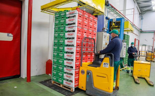 El sector hortícola denuncia un aumento de costes del 20% que afectará a la cesta de la compra