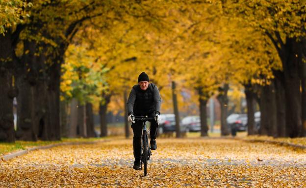 Así afecta la llegada del otoño a tu organismo