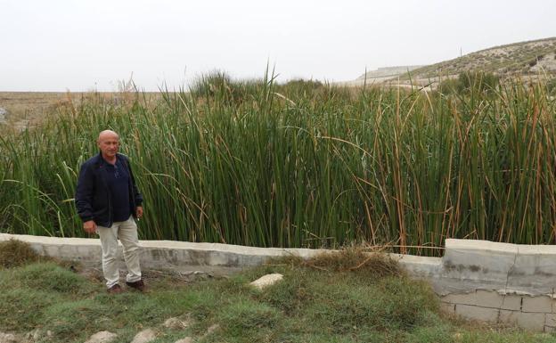 La Fiscalía de Murcia abre diligencias para investigar la situación del río Turrilla de Lorca