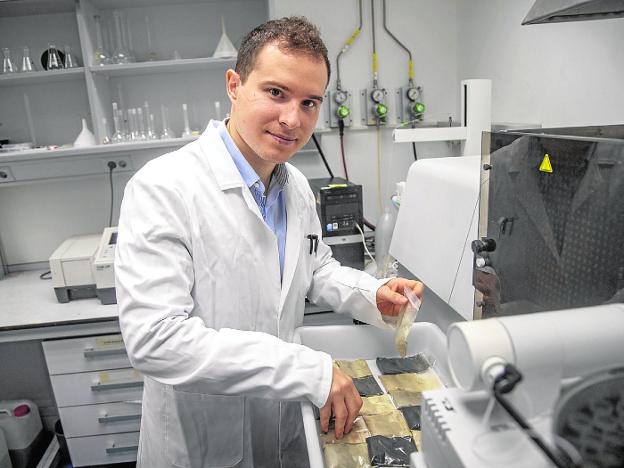 Plantas que limpian los suelos