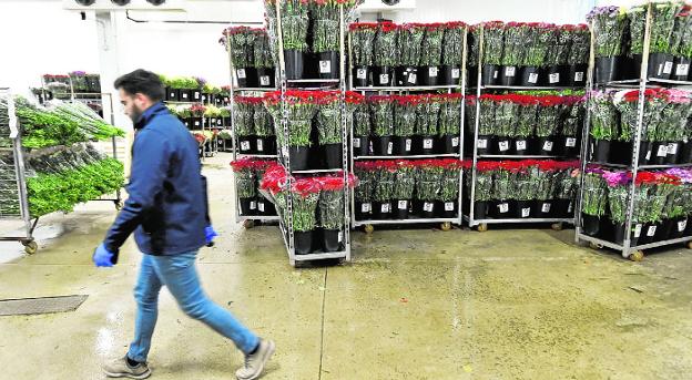 Los floricultores recuperan en la festividad de Todos los Santos el nivel de ventas previo a la Covid