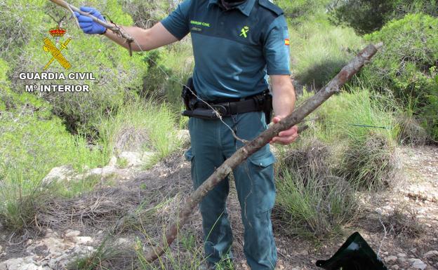 Investigan a un cazador furtivo de Murcia por utilizar métodos de captura ilegales