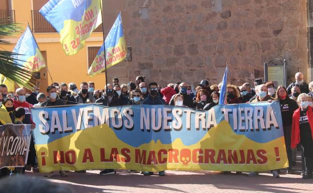 Unas mil personas se manifiestan en Montealegre del Castillo contra la granja de cerdos en el Arabí