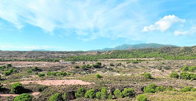 Los 'jardines medicina' llegan al corazón del campo murciano