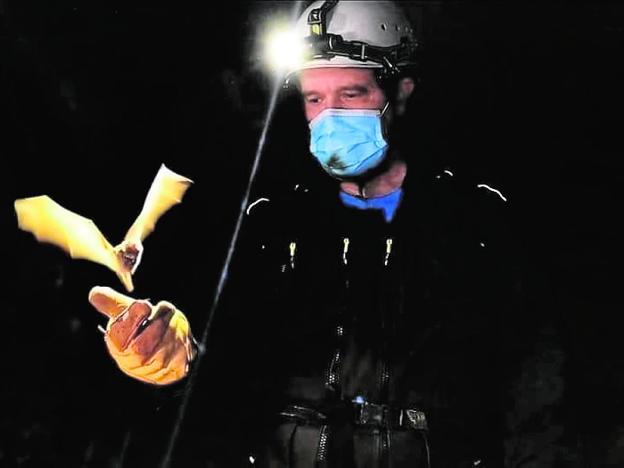 Expertos en murciélagos desmitificarán en Alhama su implicación en la pandemia
