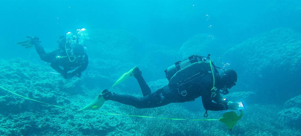 La victoria ecologista que ya no teme la pesca