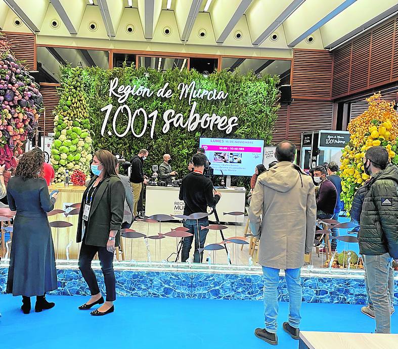 Una huerta en Donostia