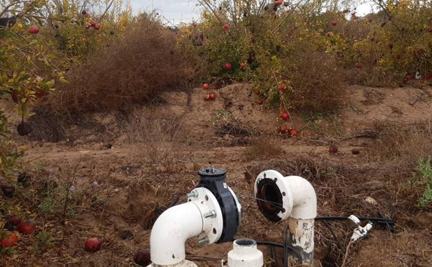 La CHS corta el grifo a los cinco primeros regadíos ilegales cerca del Mar Menor