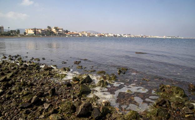 Ciudadanos propone blindar la personalidad jurídica del Mar Menor en el Estatuto