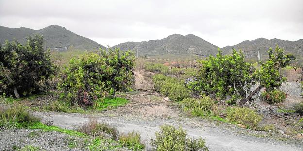 La planta solar vetada en Canteras logra permiso para instalarse en La Aljorra