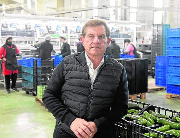 Mariano Zapata, empresario del Campo de Cartagena, se pondrá al frente de Proexport