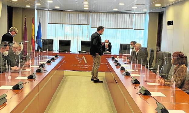 La Asamblea Regional revisará el Estatuto cuando lo devuelva el Congreso